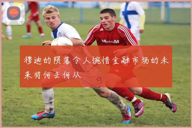 穆迪的陨落令人惋惜金融市场的未来将何去何从